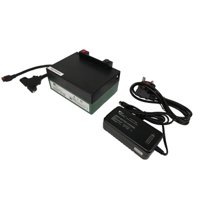 701180: Batterie Streamflo Li-ion + chargeur (LB16AH-L)