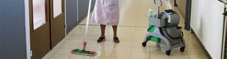 Chariots & Mops 02