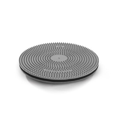 DISK
