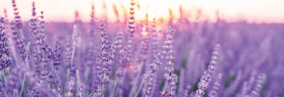 Preventing and combating unpleasant odours