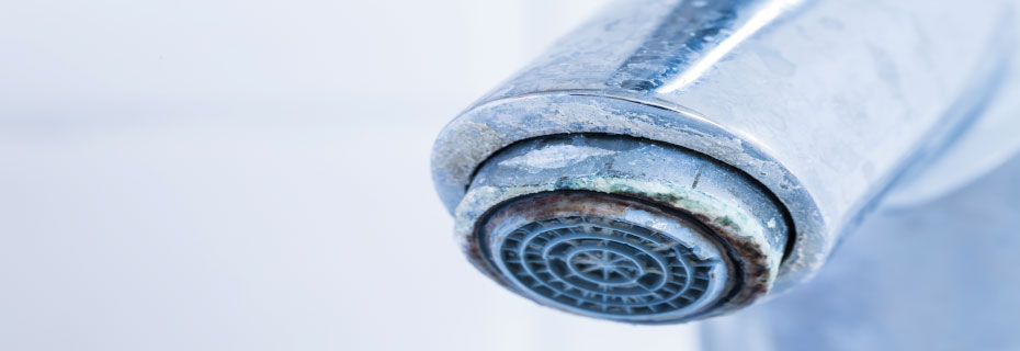 Éliminer et prévenir le calcaire dans vos sanitaires