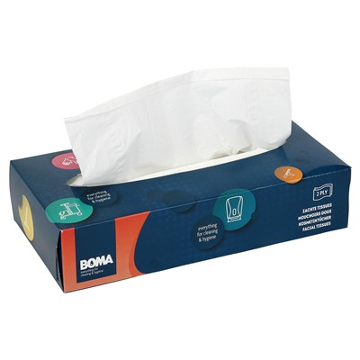 773615: Facial Tissue - 2 plis - 21 x 21 cm - 100 pièces