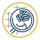 Nettoyants Hyginiques Et Dsinfectants